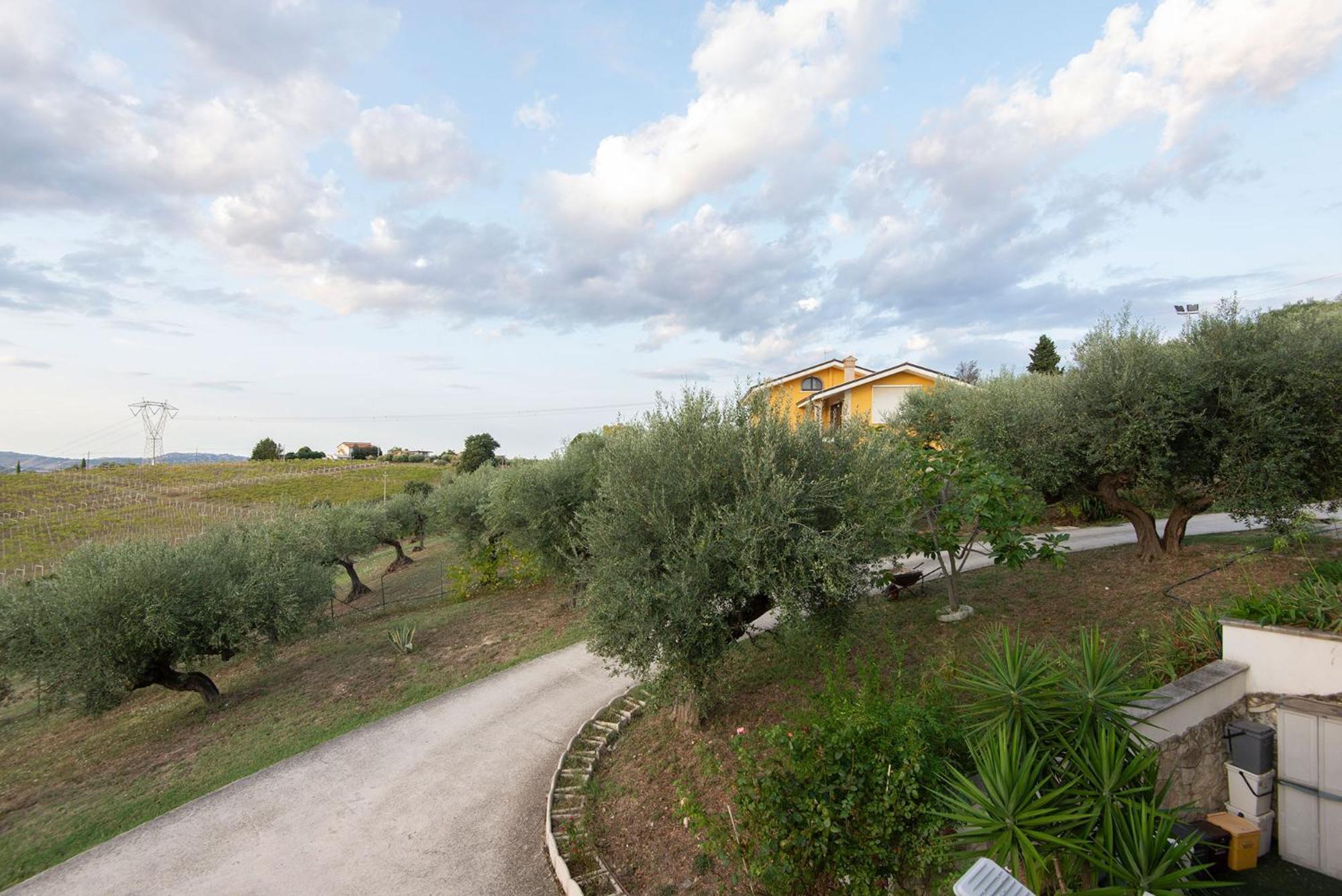 Green Residence Villa Assunta Moscufo Exterior photo